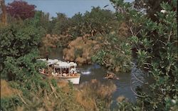 Jungle Cruise Anaheim, CA Postcard Postcard Postcard