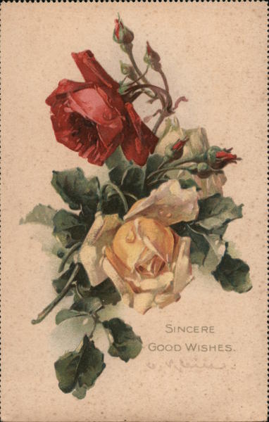  Sincere Good Wishes Postcard