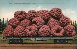 A Carload of Raspberries From______ Postcard