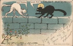 Two cats - "Object matrimony" Postcard