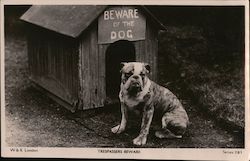 Trespassers Beware Dogs Postcard Postcard Postcard