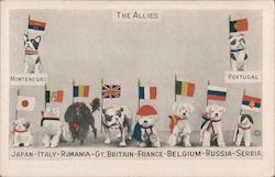 The Allies - Dogs Representing Different Countries Postcard