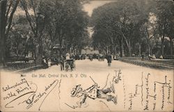 The Mall, Central Park New York, NY Postcard Postcard Postcard