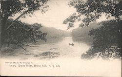 Bronx River, Bronx Park New York, NY Postcard Postcard Postcard