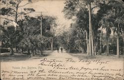 Volusia Ave. Postcard