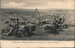 Cutting Wheat, Threshing and Sacking at the Same Time Washington Postcard Postcard Postcard