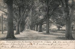 Avenue of Live Oaks, The Hermitage Savannah, GA Postcard Postcard Postcard