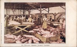 Willapa Harbor Salmon Company Postcard