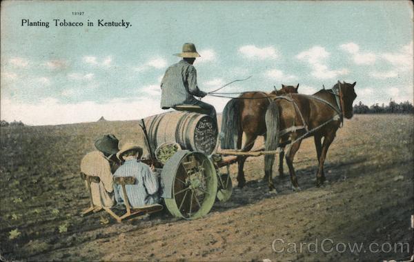 planting-tobacco-in-kentucky-postcard