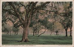 Old Duelling Ground, City Park Postcard