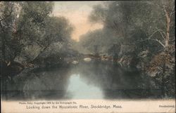 Looking Down the Housatonic River Postcard