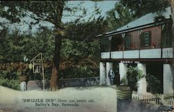 Swizzle Inn, Over 100 Years Old Postcard