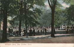 Williams Park Postcard