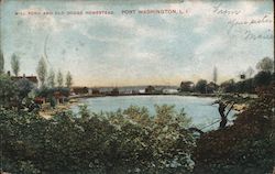 Mill Pond and Old Dodge Homestead Port Washington, NY Postcard Postcard Postcard