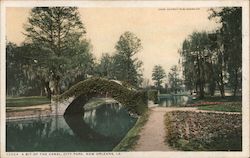 A Bit of the Canal, City Park Postcard