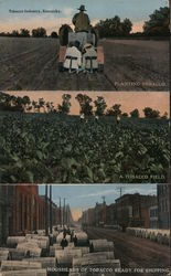 Tobacco Industry Kentucky Postcard Postcard Postcard