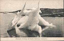 Fantastic Iceberg off Battle Harbour, Labrador Canada Misc. Canada Postcard Postcard Postcard