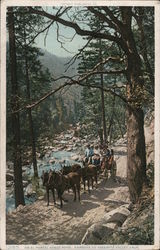 On El Portal Stage Road Yosemite, CA Postcard Postcard Postcard