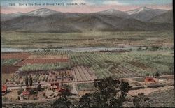 Bird's Eye View of Grand Valley Orchards Colorado Postcard Postcard Postcard