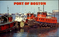 Port Of Boston Postcard