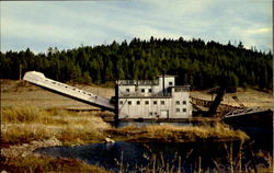 Gold Dredge Montana Postcard Postcard