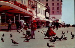 Feeding The Pigeons Atlantic City, NJ Postcard Postcard