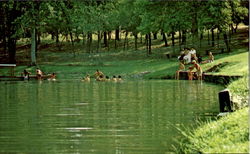 Inland Lake, Aiken State Park Windsor, SC Postcard Postcard