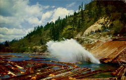 The Log Pond Logging Postcard Postcard