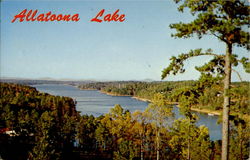 Allatoona Lake Georgia Postcard Postcard