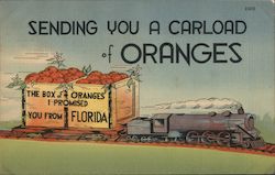 Sending You A Carload Of Oranges The Box Of Oranges I Promised You From Florida Postcard