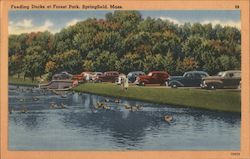 Feeding Ducks at Forest Park Springfield, MA Postcard Postcard Postcard