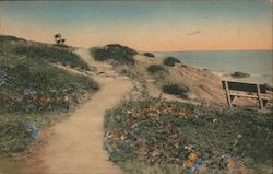 The Marginal Way Postcard