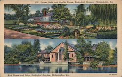 Views in Zoological Gardens Postcard