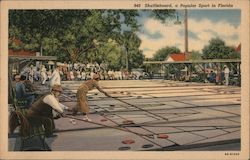 Shuffleboard, A Popular Sport in Florida Postcard Postcard Postcard