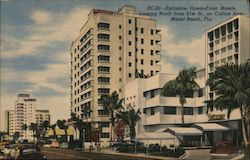 Exclusive Ocean-Front Hotels on Miami Beach Postcard