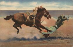 Spills and Thrills with a Bucking Bronco Cowboy Western Postcard Postcard Postcard