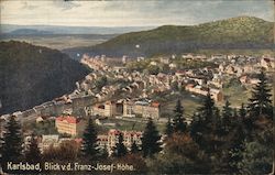 View from Franz-Josef-Höhe Lookout Tower Postcard