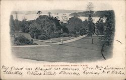 In the Botanic Gardens, N.S.W. Sydney, Australia Postcard Postcard Postcard