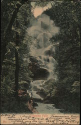 Columba Falls, Tasmania Australia Postcard Postcard Postcard