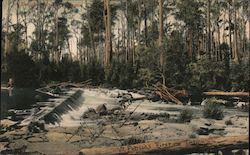 St. Patrick's River, Tasmania Postcard