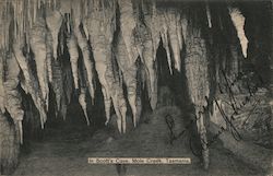 In Scott's Cave, Tasmania Mole Creek, Australia Postcard Postcard Postcard