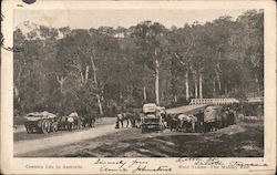 Country Life in Australia Postcard