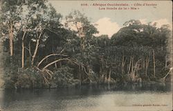 Afrique Occidentale - Cote d'Ivoire, Les Bords de la "Bia" Postcard