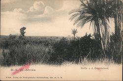 Partie a.d. Ovamboland Namibia Postcard Postcard Postcard