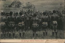 An Uncivilized Natives' Wedding Party Africa Postcard Postcard Postcard