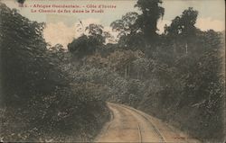 Le Chemin de fer dans la Forêt Côte d'Ivoire, French West Africa Postcard Postcard Postcard