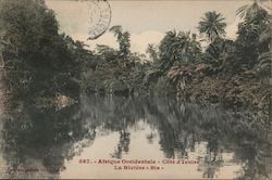 Bia River L'Afrique-Occidentale Côte d'Ivoire Postcard