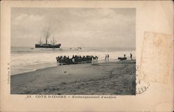 Cote d'Ivoire - Embarquement d'acajou Postcard