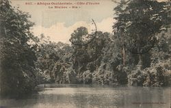 Afrique Occidentale - Cote d'Ivoire, La Riviere "Bia" Ivory Coast Africa Postcard Postcard Postcard