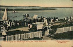 Yachting On The Zwartkops River Port Elizabeth, South Africa Postcard Postcard Postcard